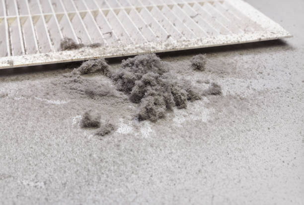 Best Ventilation Cleaning Services  in Rainier, WA