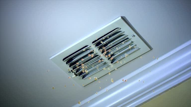 Best Professional Duct Cleaning Services  in Rainier, WA